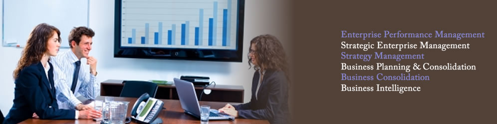 corporate consulting