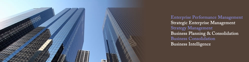 enterprise performance management