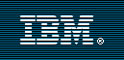 IBM logo