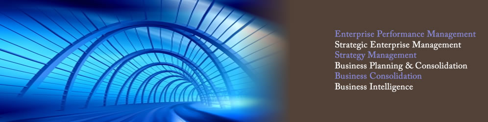 financial performance management